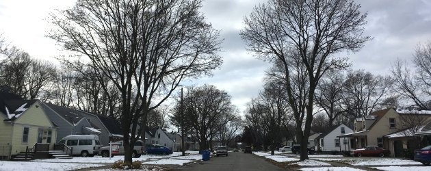 Another year of tree trimming in TIFA District Another year of tree trimming in TIFA District